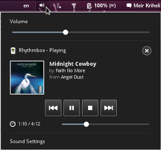 Media player indicator